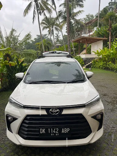 Dino Bali Transport 3
