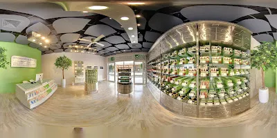 Sensatia - Seminyak Village 4