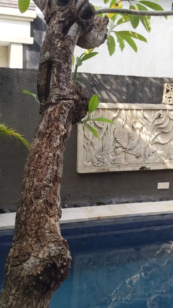 The Light Exclusive Villas & Spa 1