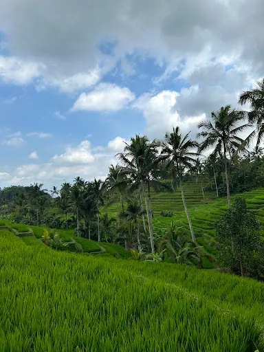 GEMAKO BALI TOURS 4