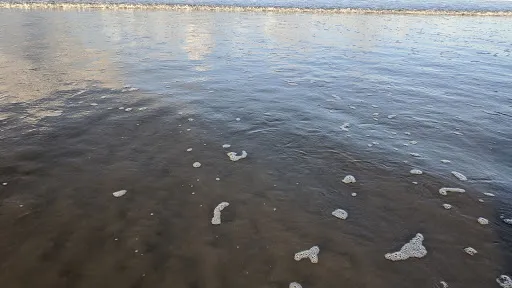 Pantai Mesari 4