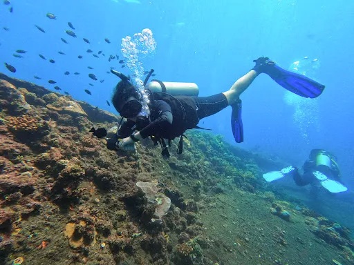 Adventure Scuba Diving Bali 3