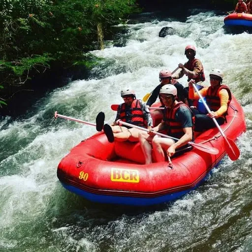 Hire Bali Tour 3