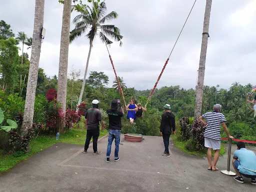 Restu Bali Tour & Transport 3