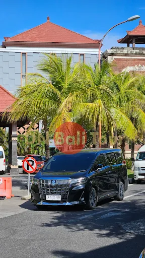 DN Bali Tour and Rent Car 3