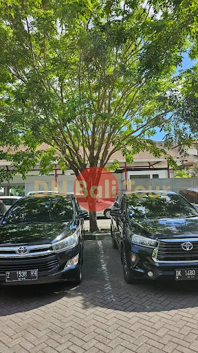 DN Bali Tour and Rent Car 4