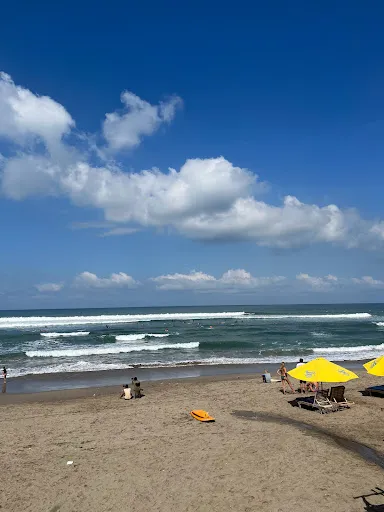 Sea N surf - Surf School 4