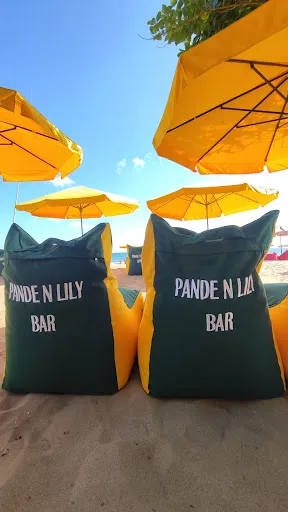 Pande N Lily Bar 2