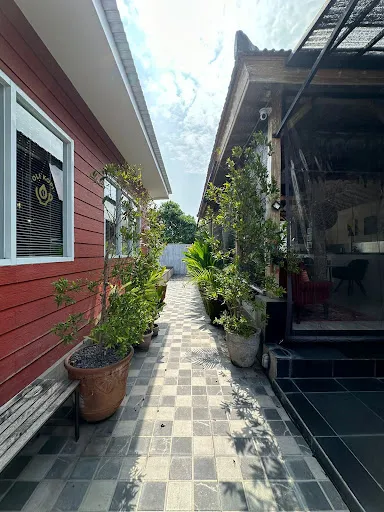 Olikopi 3 3