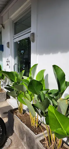 Krishna Medika 4