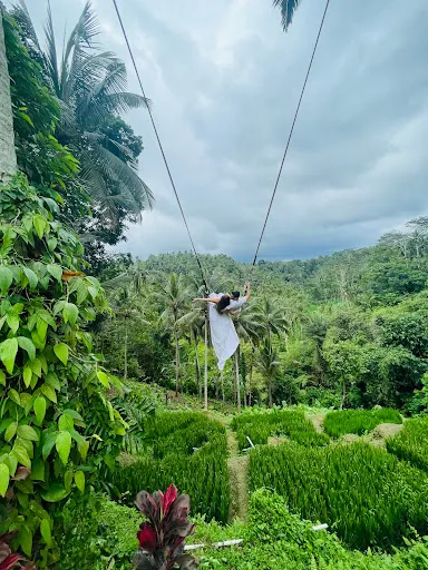 Bali Cheapest Tours 2