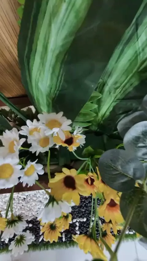 Anggita Spa Canggu Berawa 1
