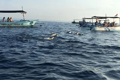 Bali Tours Club Online 3