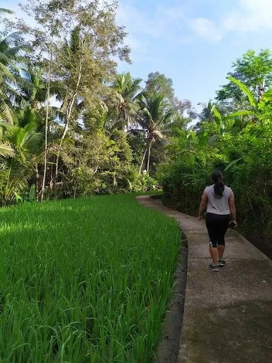 Fit By Design Bali Studio 2