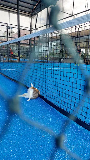 Jungle Padel Kerobokan 3