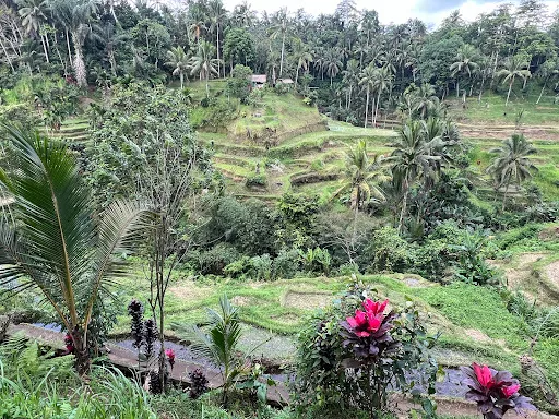 Bali driver trip around bali 3