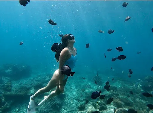 Private Bali Tours 1