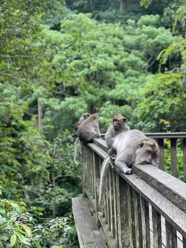 Private Bali Tours 4