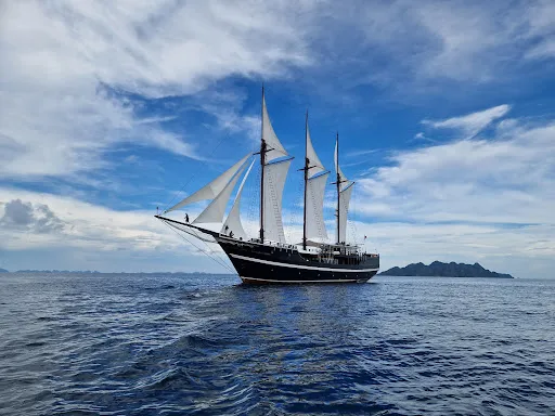 Dewi Nusantara Liveaboard Indonesia 3