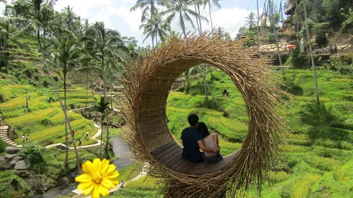 Tour Experience Bali 3