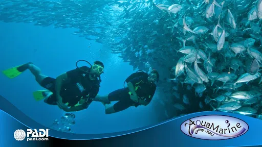 AquaMarine Diving - Bali 1