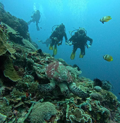 AquaMarine Diving - Bali 4