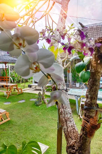 Kebun Senjakala Food Garden 4