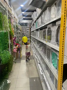 MR. DIY Central Kuta 1