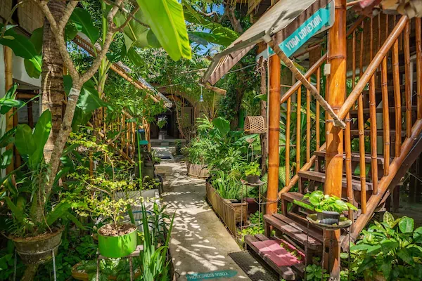 Serenity Eco Guesthouse and Yoga 4