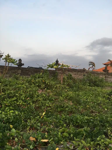 Old Mans Surf Rental 4