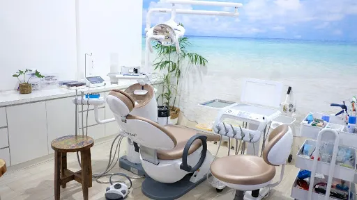 BIA (Bali Implant Aesthetic) Dental Center 2