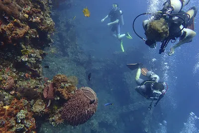 Dry and Wet Together Trip 3