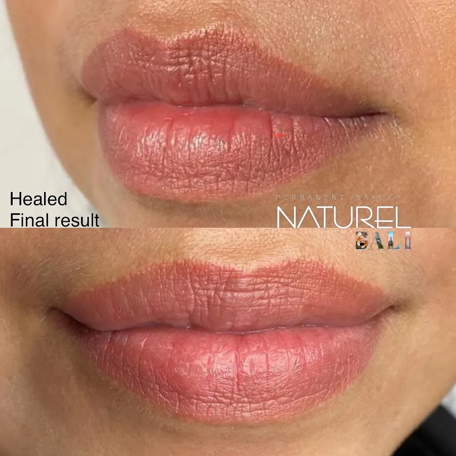 NATUREL permanent make up 1