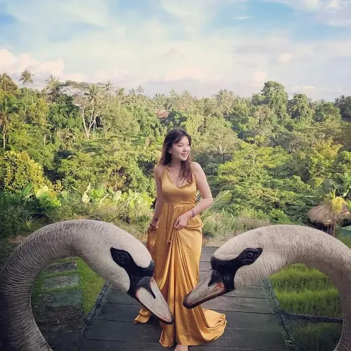 Bali Fun Trip 4