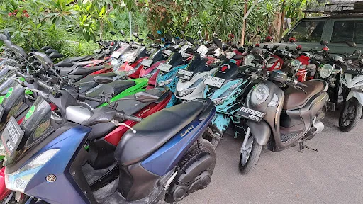 Mas Bali Transport 3