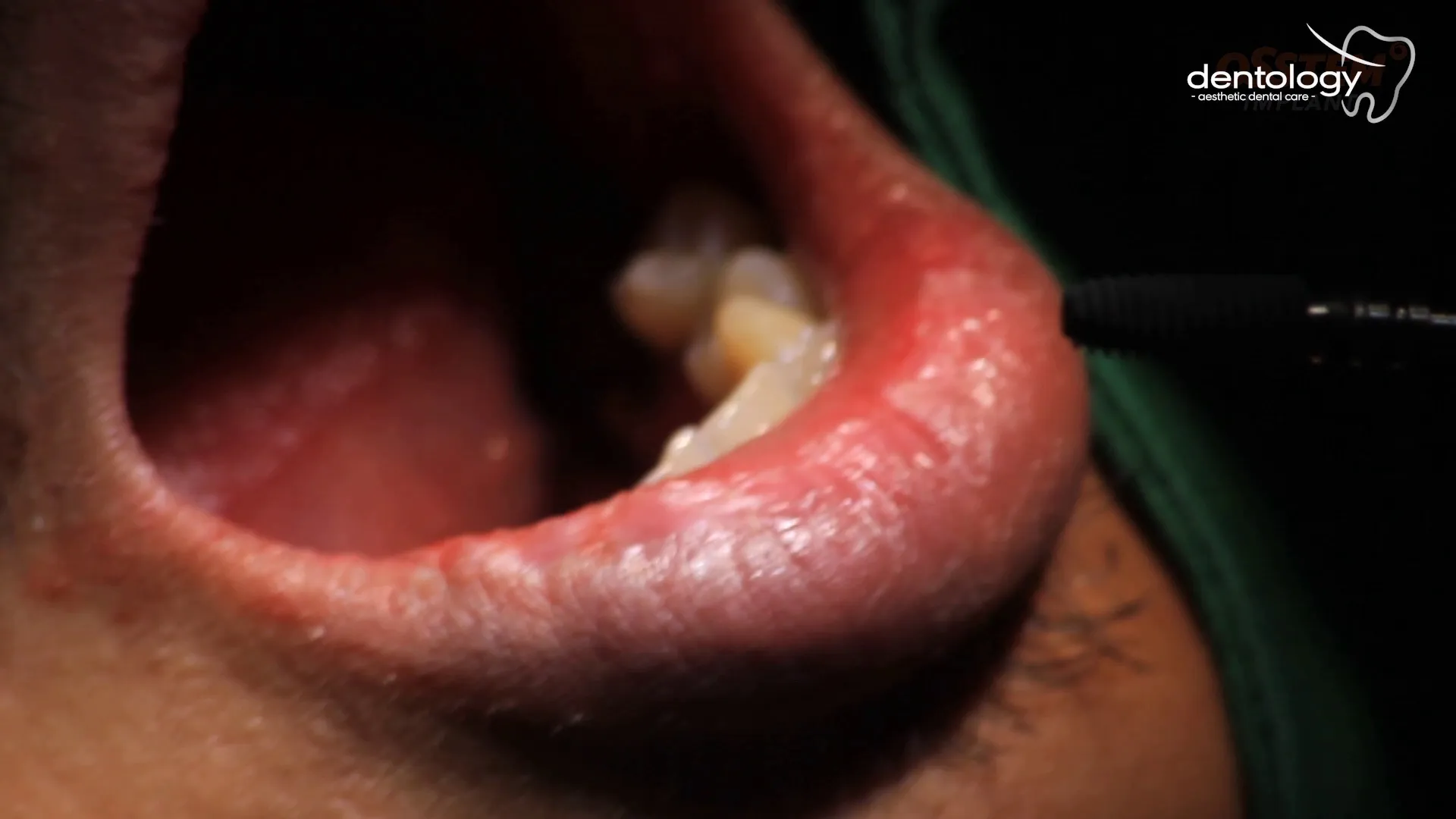 DENTOLOGY Dental Clinic 1