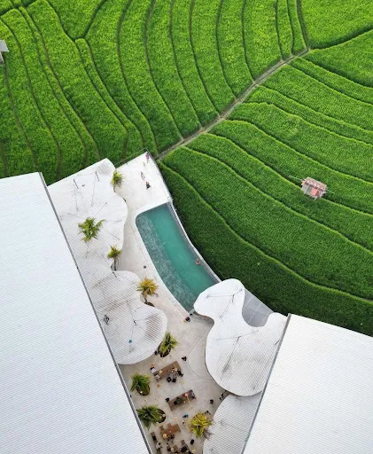 Island Sports Canggu: Padel, Tennis, Fitness & Indoor Golf 4