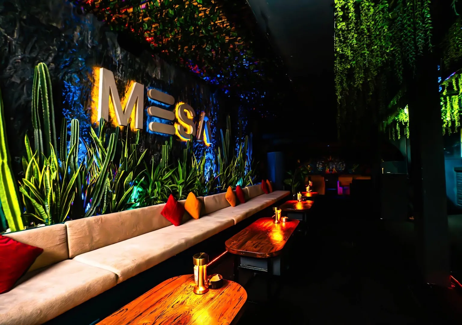 The Garden of Mesa 1
