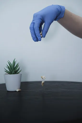 Niki Diagnostic Center Dental Care & Implant 3