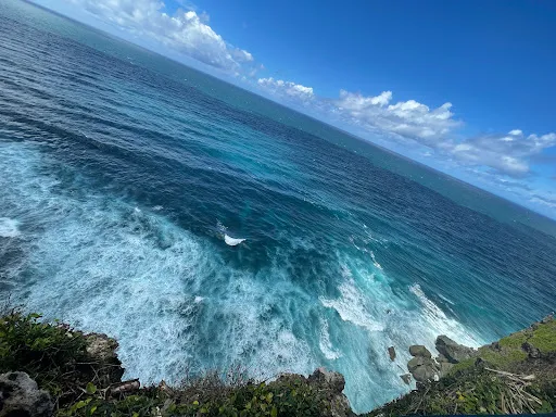 Heart viewpoint 2