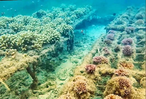 Pandawa Marine Park 1