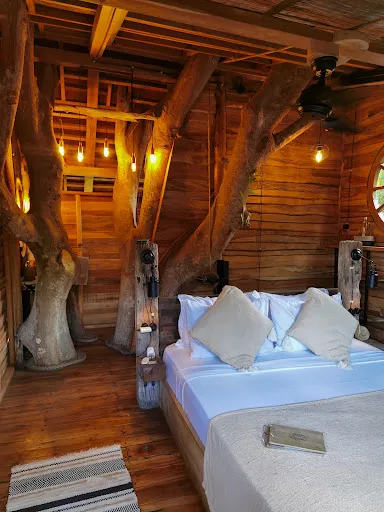 Roots Tree House 1