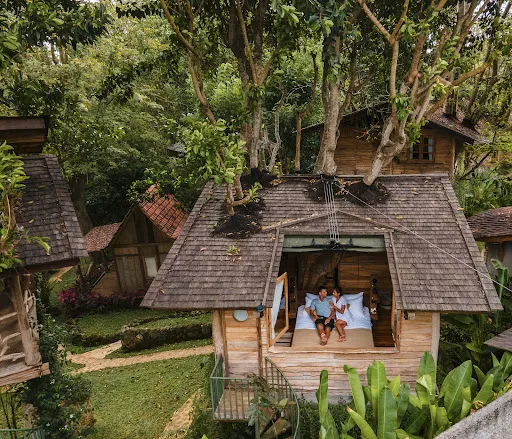 Roots Tree House 3