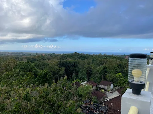 Yellow Guest House 3