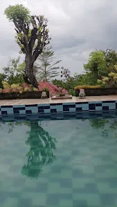 Villa Anjing 2 2