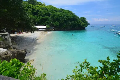 Coconut Beach 4