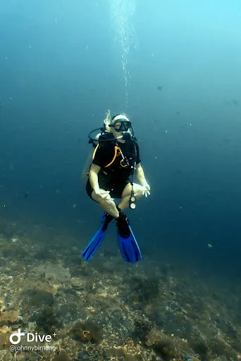 World Diving Lembongan 4