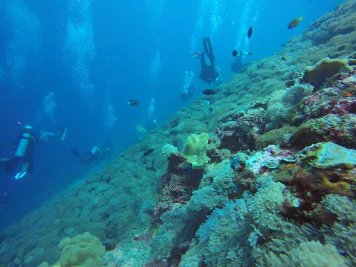 Lembongan Dive Center 2