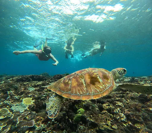 Ceningan snorkeling trip