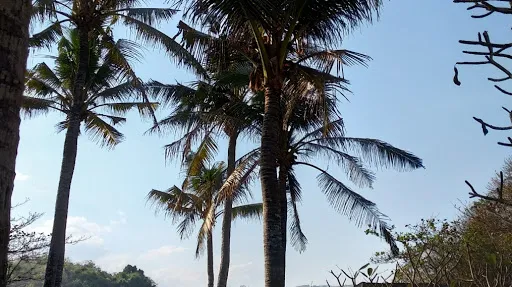 Song Tepo Beach 2